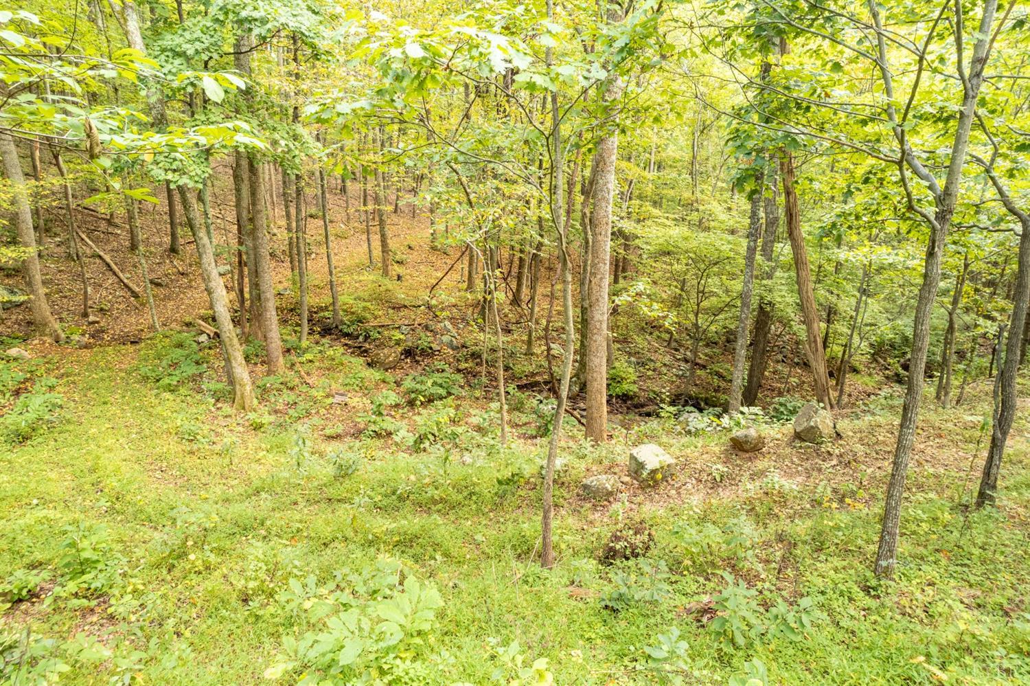 6220 Charlemont Road Goode, VA 24556 - Photo 14 of 24 a bathroom with a shower