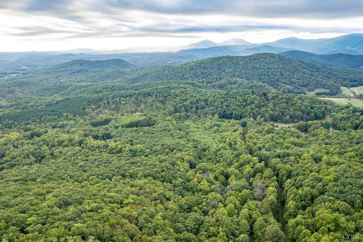 6220 Charlemont Road Goode, VA 24556 - Photo 15 of 24 a view of a lush green field
