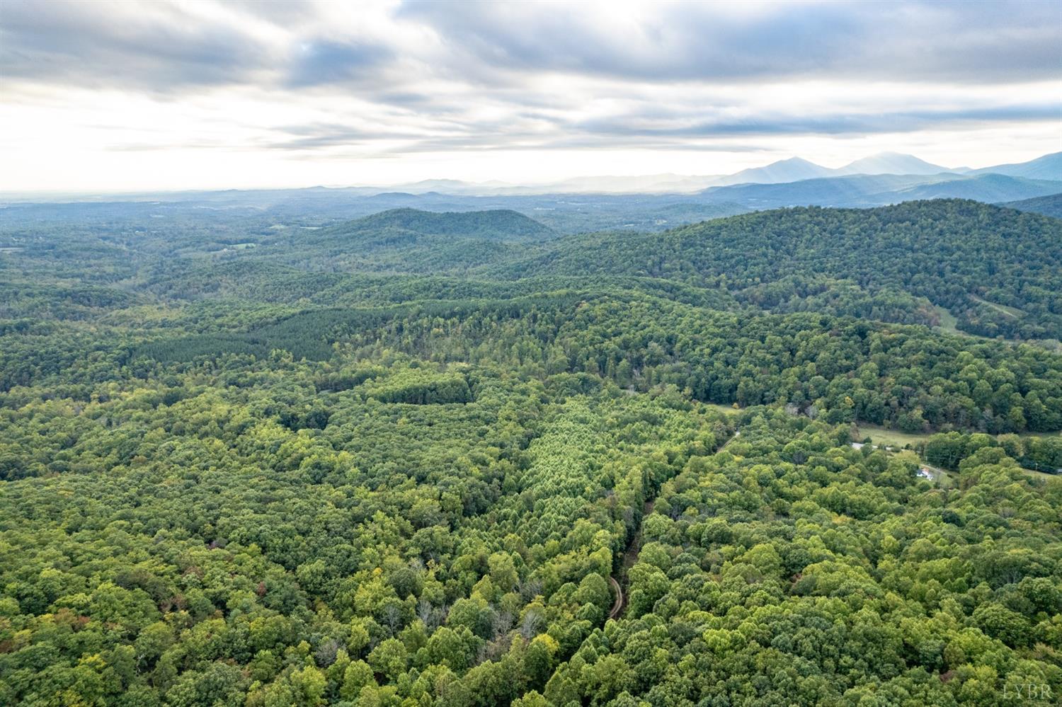 6220 Charlemont Road Goode, VA 24556 - Photo 16 of 24 a view of a green field with lots of bushes