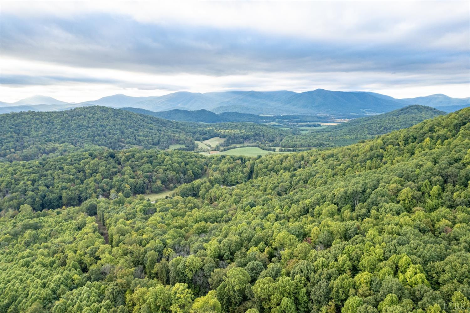 6220 Charlemont Road Goode, VA 24556 - Photo 17 of 24 a view of a lush green forest with mountains in the background