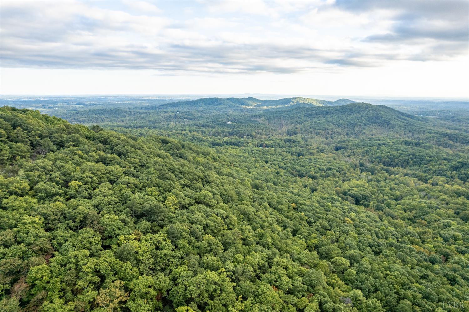 6220 Charlemont Road Goode, VA 24556 - Photo 18 of 24 a view of a big yard with lots of green space