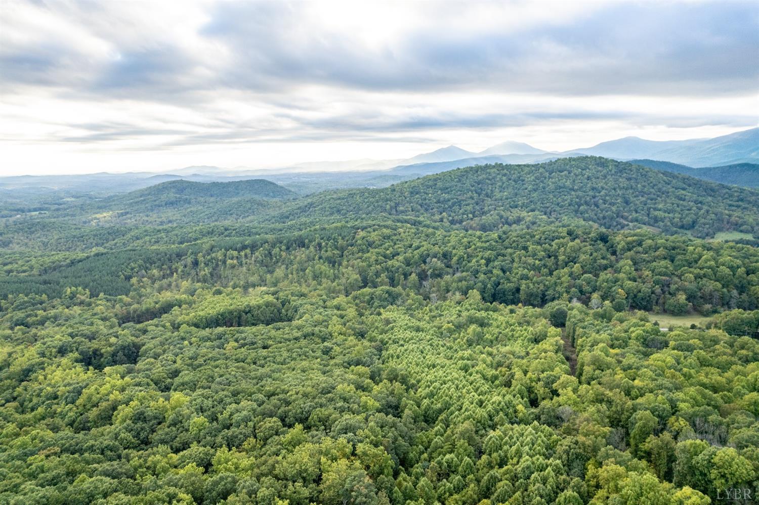 6220 Charlemont Road Goode, VA 24556 - Photo 19 of 24 a view of a green field with lots of green space