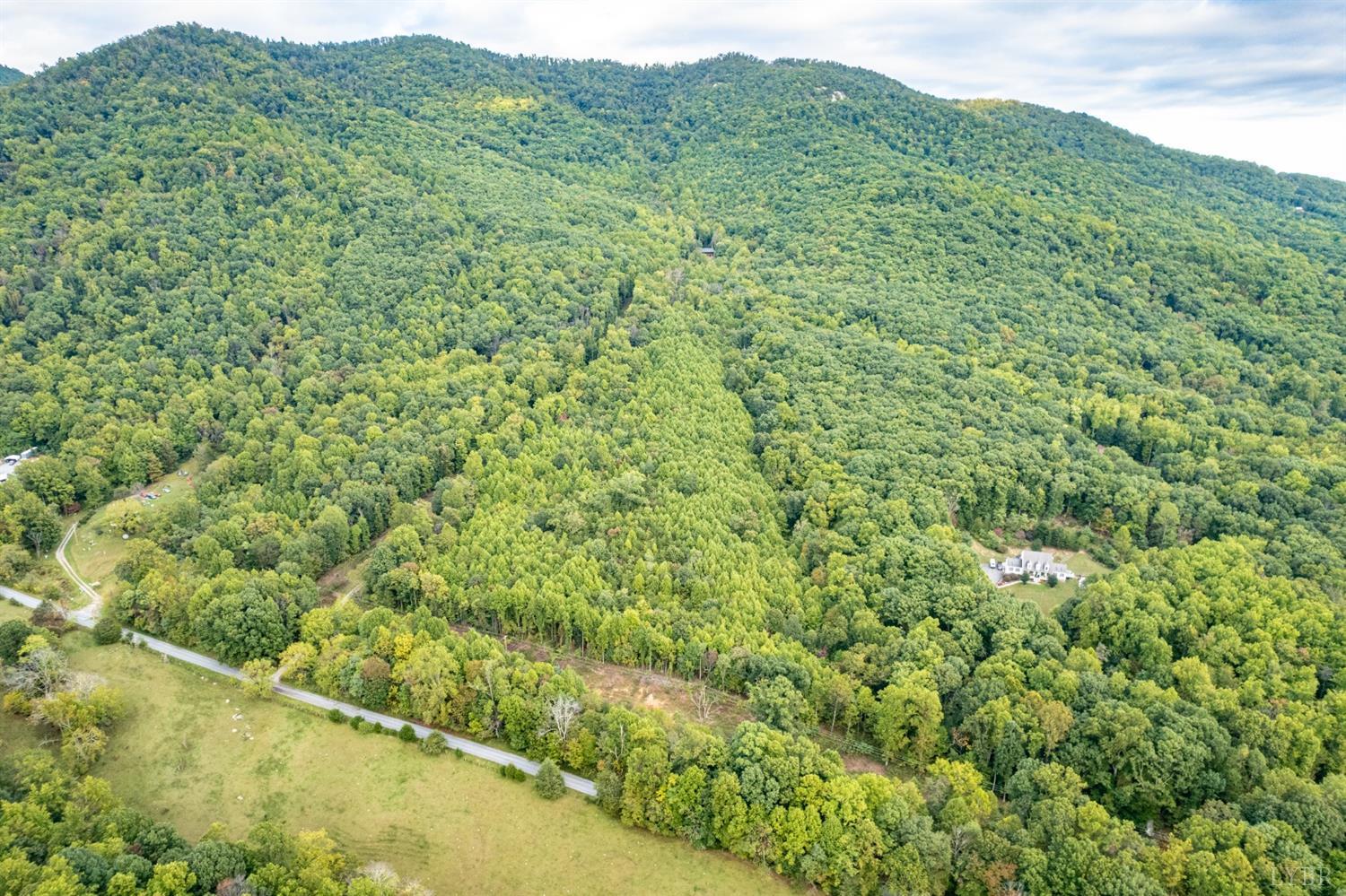 6220 Charlemont Road Goode, VA 24556 - Photo 20 of 24 a view of a lush green forest with a mountain