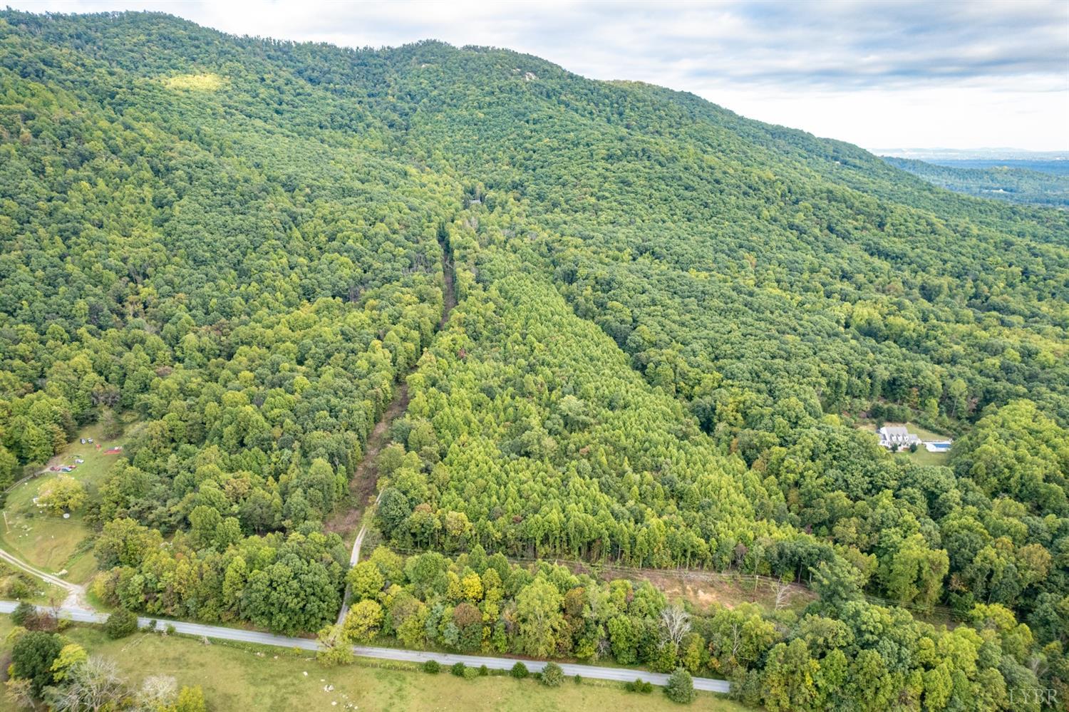 6220 Charlemont Road Goode, VA 24556 - Photo 21 of 24 a view of a lush green forest with a mountain