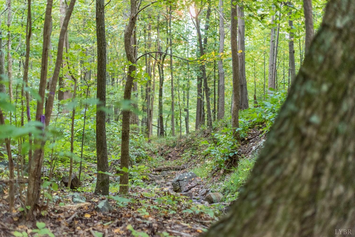 6220 Charlemont Road Goode, VA 24556 - Photo 3 of 24