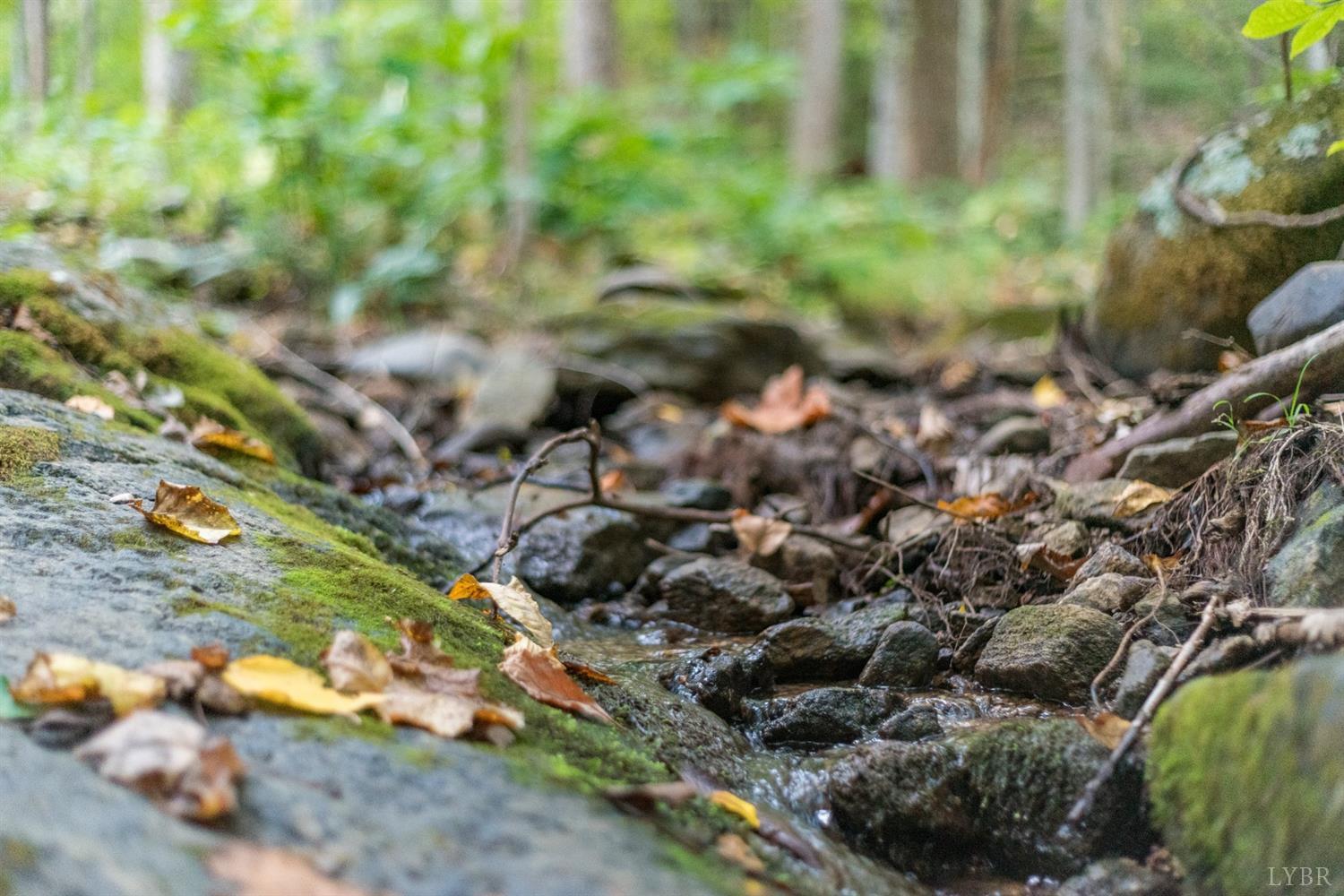 6220 Charlemont Road Goode, VA 24556 - Photo 5 of 24