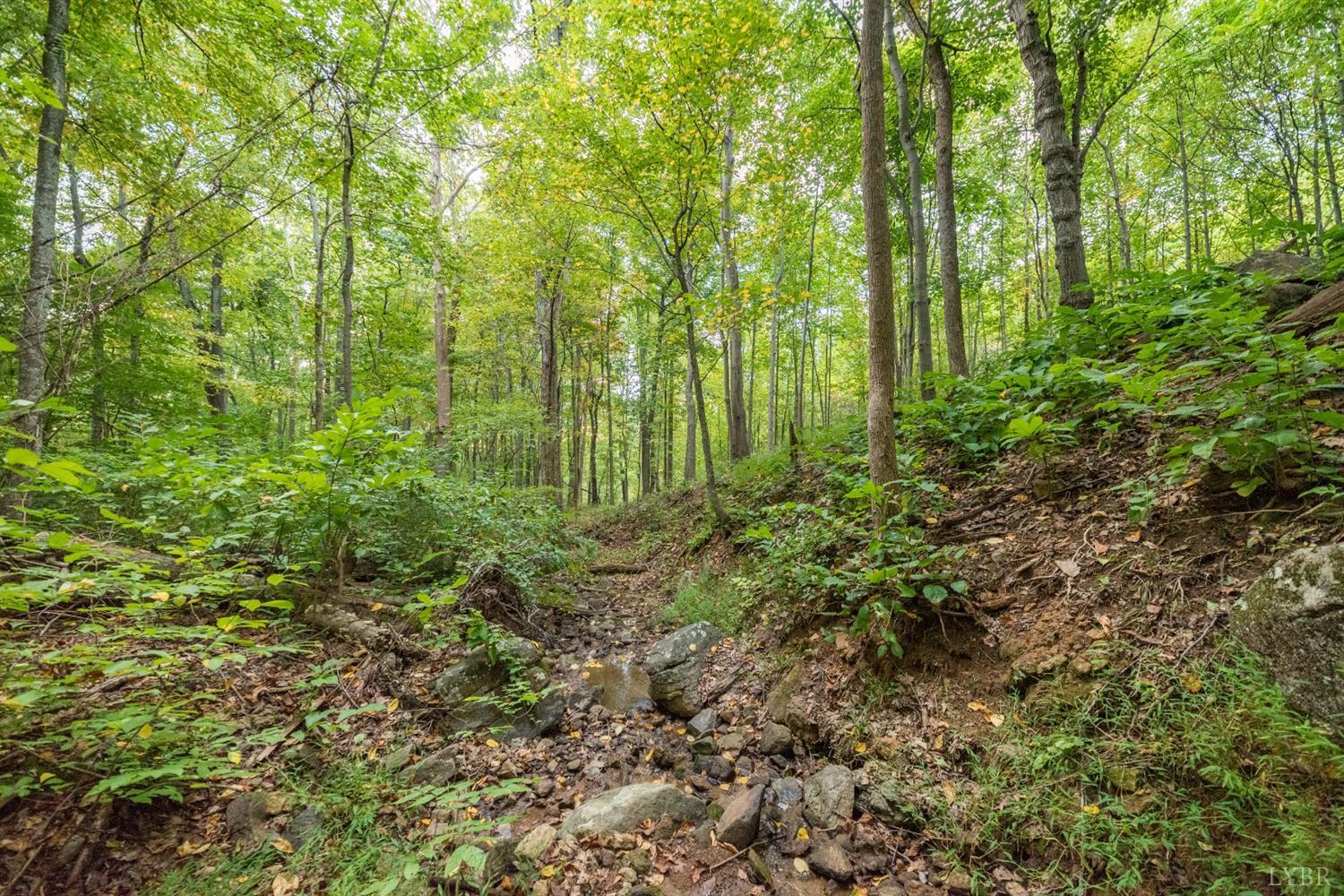 6220 Charlemont Road Goode, VA 24556 - Photo 7 of 24 a view of a garden