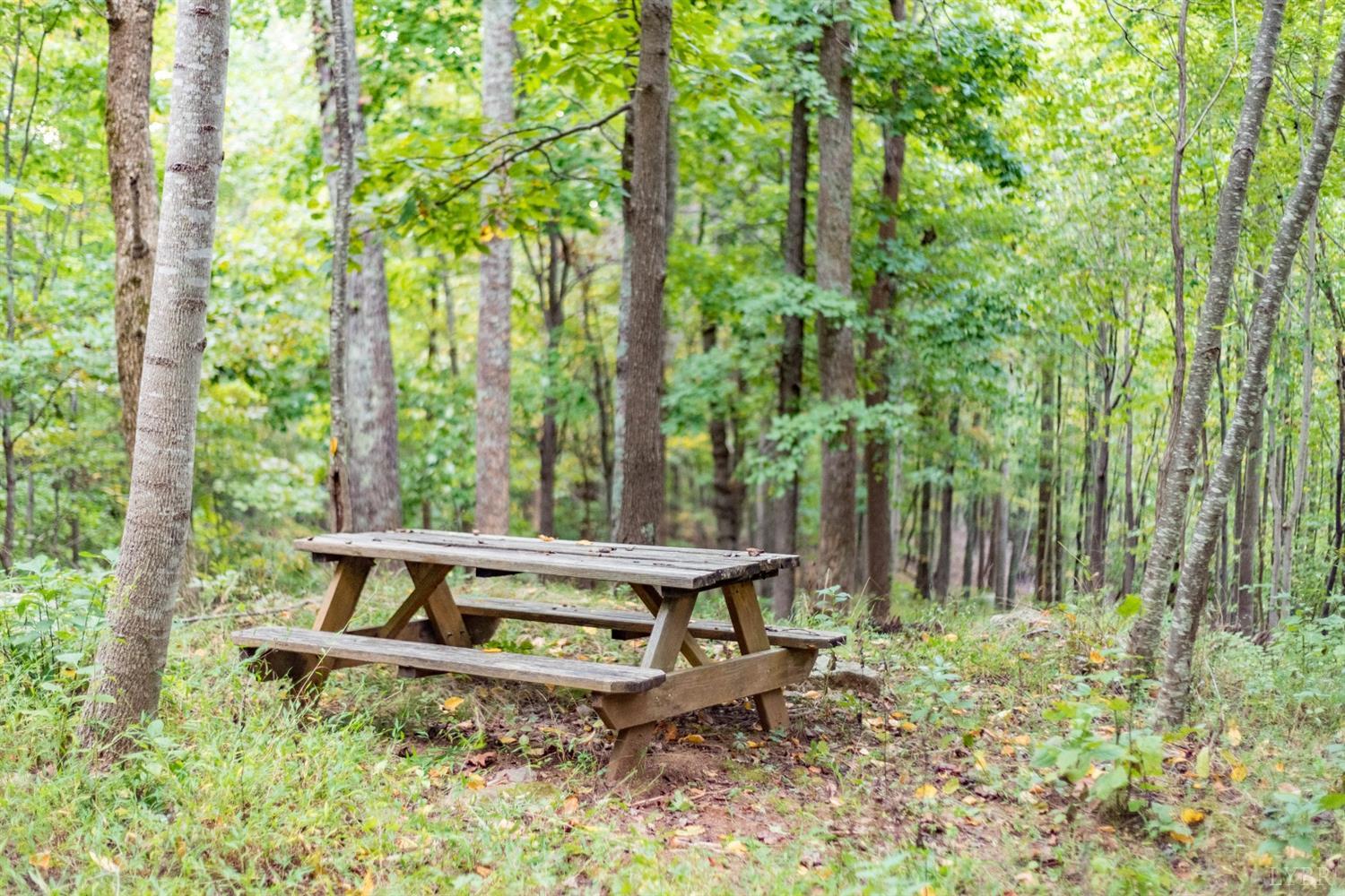 6220 Charlemont Road Goode, VA 24556 - Photo 9 of 24 a wooden bench sitting in the middle of a forest
