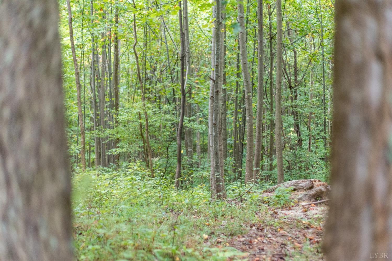 6220 Charlemont Road Goode, VA 24556 - Photo 10 of 24 a view of a garden