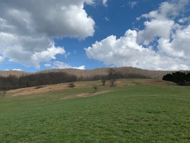 Tbd Big Valley Road Monterey, VA 24465 - Photo 3 of 17 Gallery Image 3