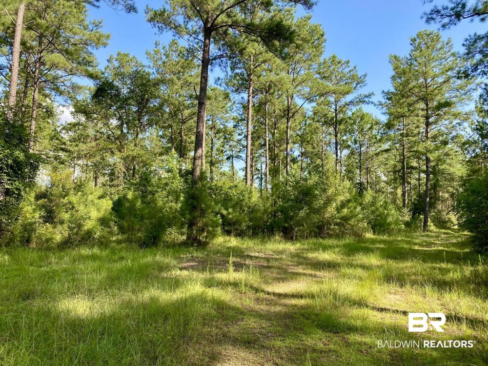 0 Old Ganey Road Stockton, AL 36579 - Photo 24 of 45