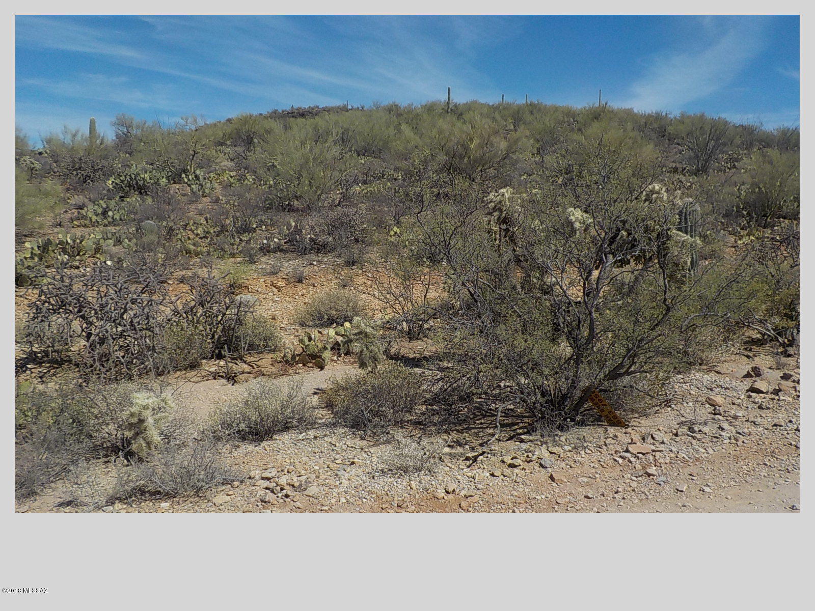 4400 South Century Road Tucson, AZ 85746 - Photo 1 of 5 Gallery Image 1