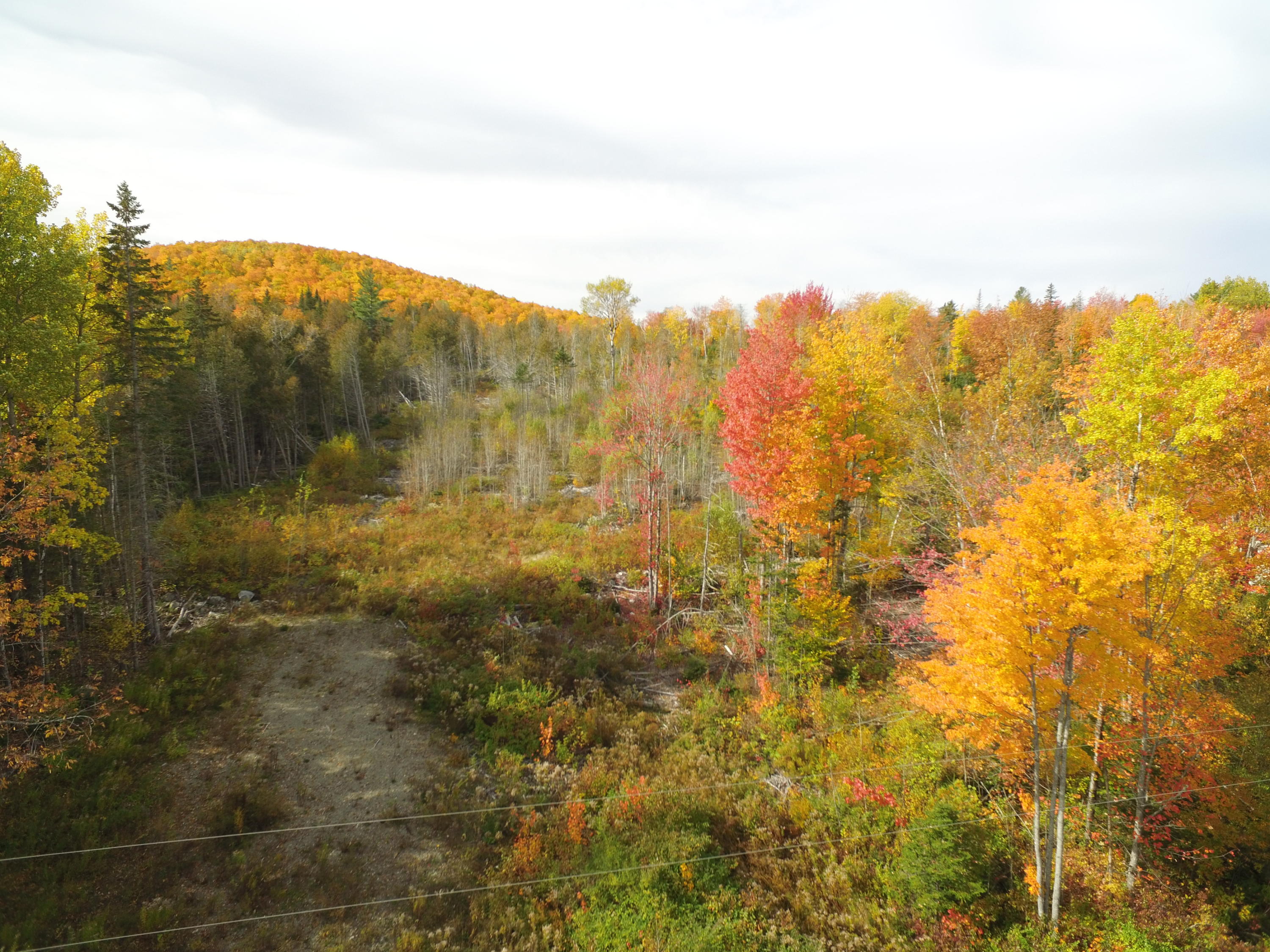 53 Map Road Lincoln, ME 04457 - Photo 4 of 10 DJI_0223
