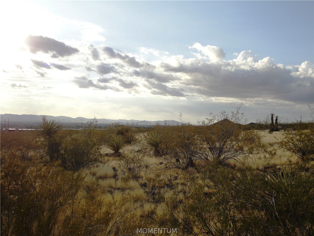 417 Klagetoh Road Golden Valley, AZ 86413 - Photo 6 of 14 Gallery Image 6