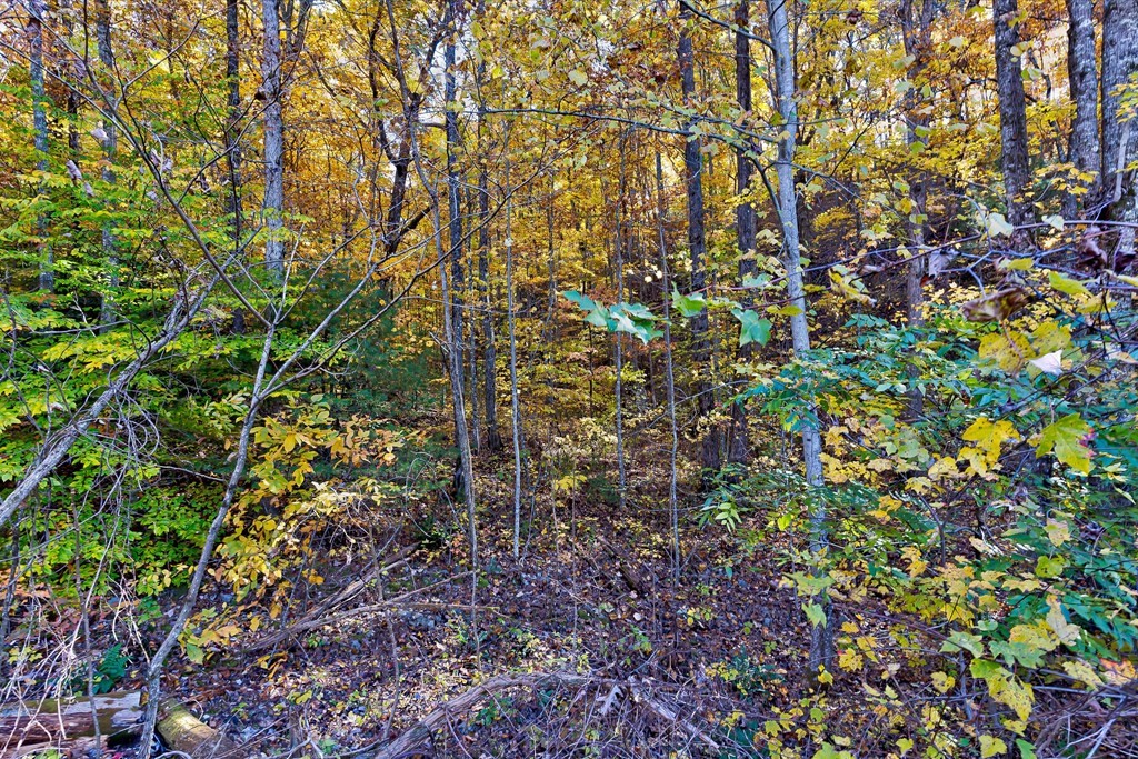 58 Harvest Moon Road Sevierville, TN 37862 - Photo 11 of 18 Gallery Image 11
