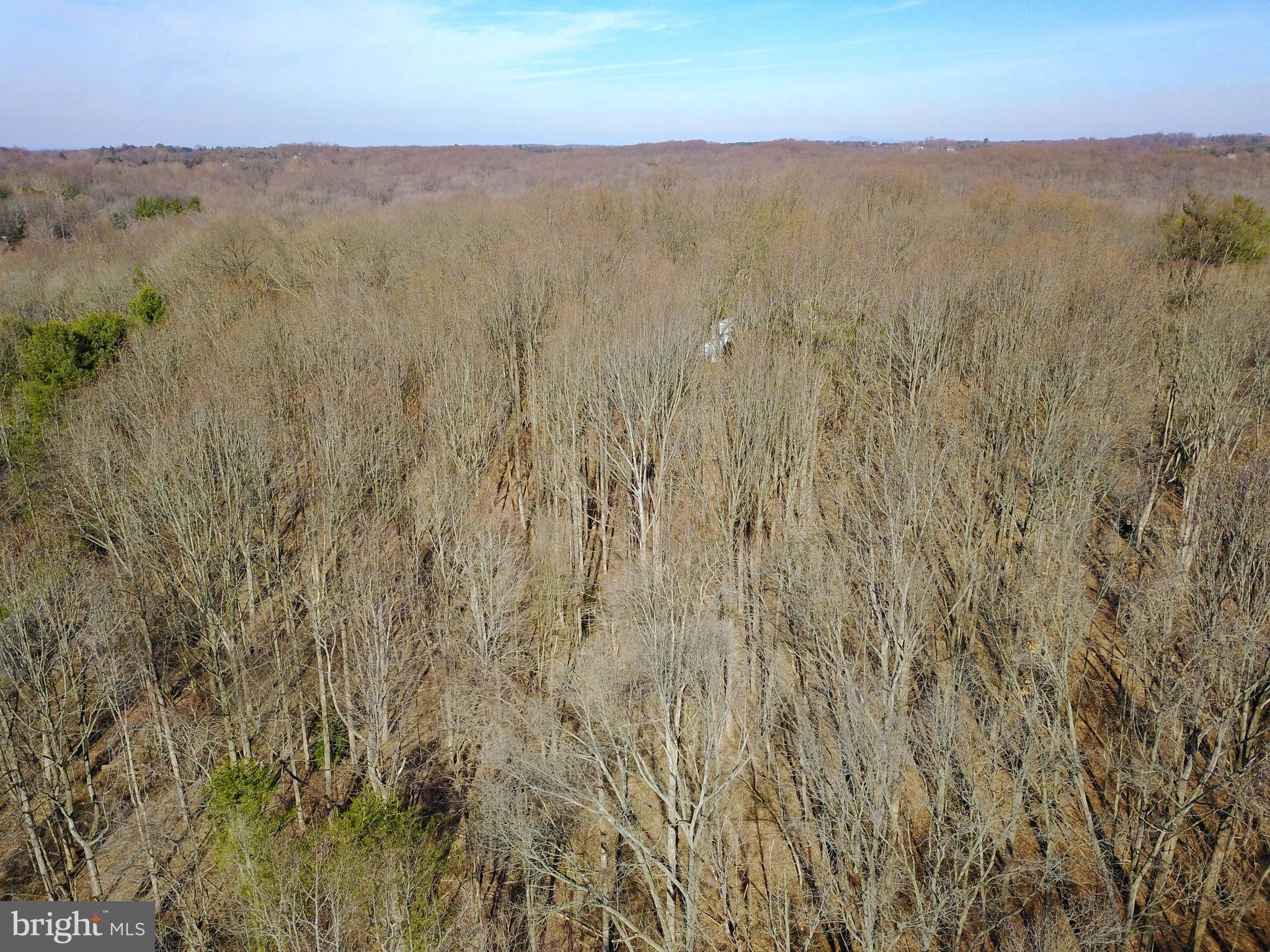 13226 Query Mill Road North Potomac, MD 20878 - Photo 14 of 40 Gallery Image 14