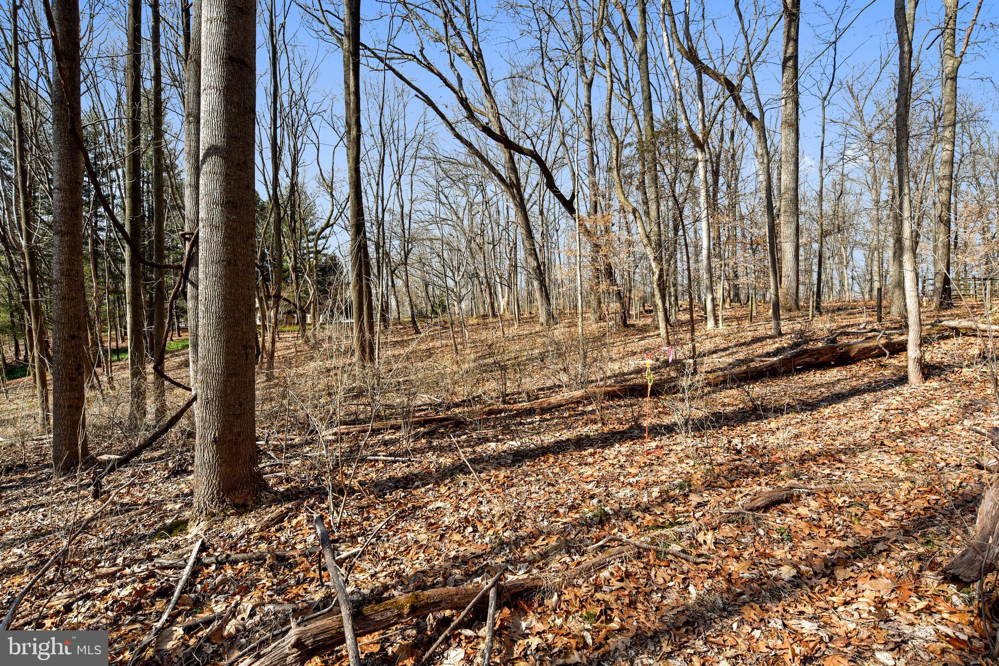 13226 Query Mill Road North Potomac, MD 20878 - Photo 36 of 40 Gallery Image 36