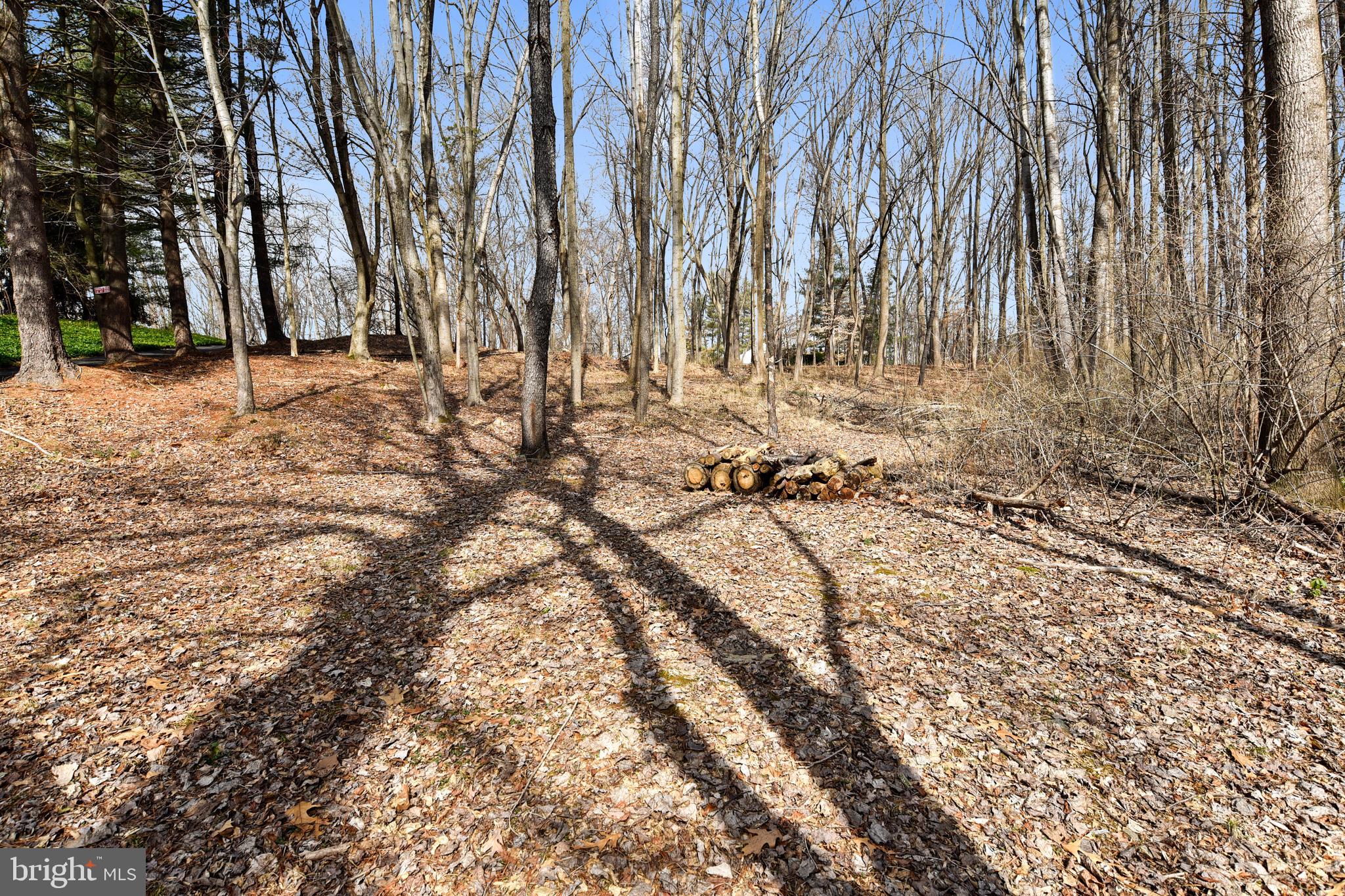 13226 Query Mill Road North Potomac, MD 20878 - Photo 40 of 40 Gallery Image 40