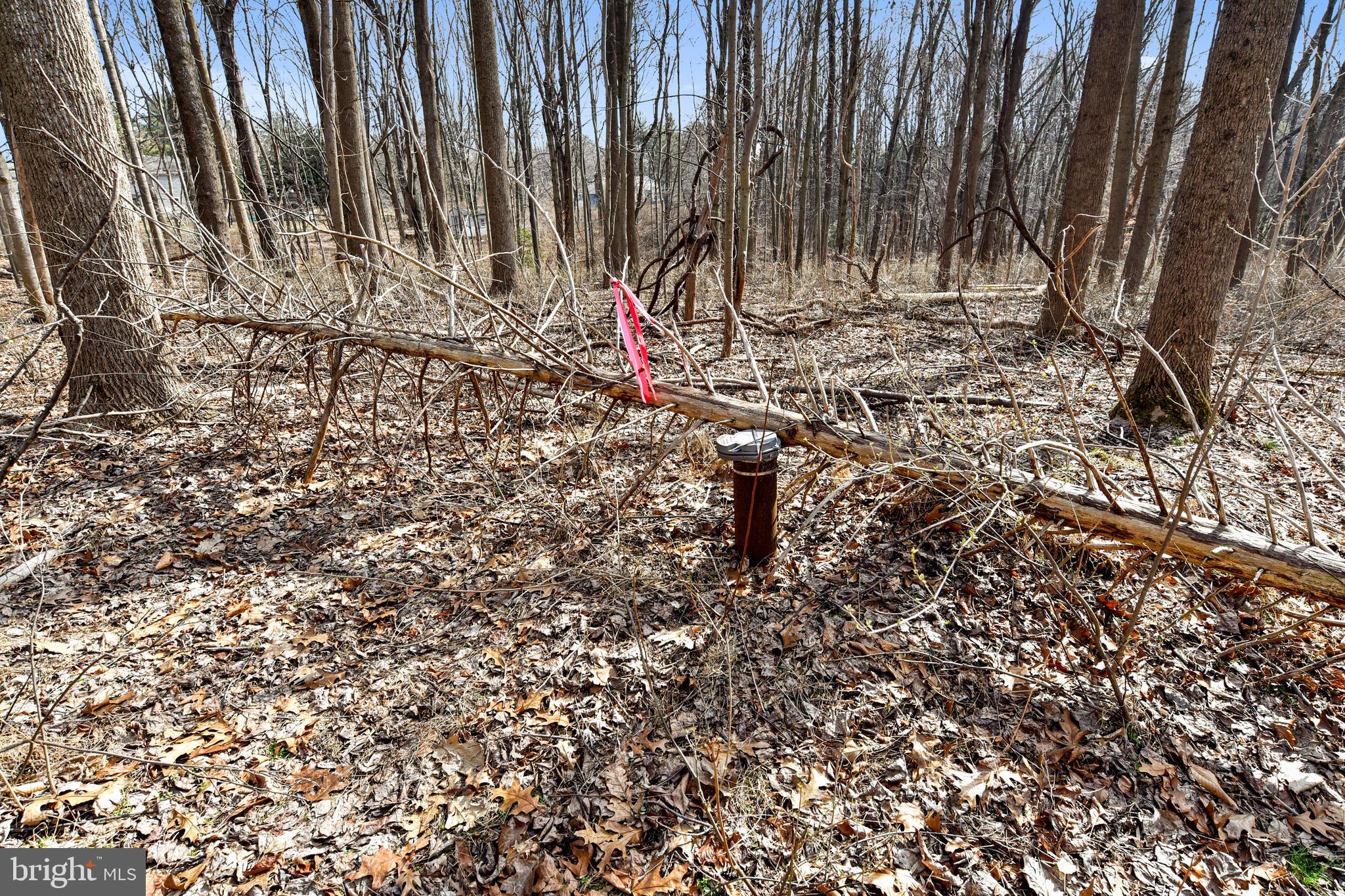 13226 Query Mill Road North Potomac, MD 20878 - Photo 8 of 40 Well is already dug