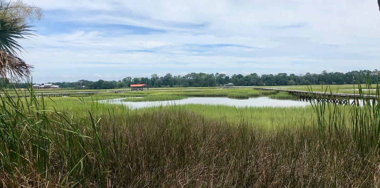 2688 Bohicket Road Johns Island, SC 29455 - Photo 2 of 15 IMG_6149 2
