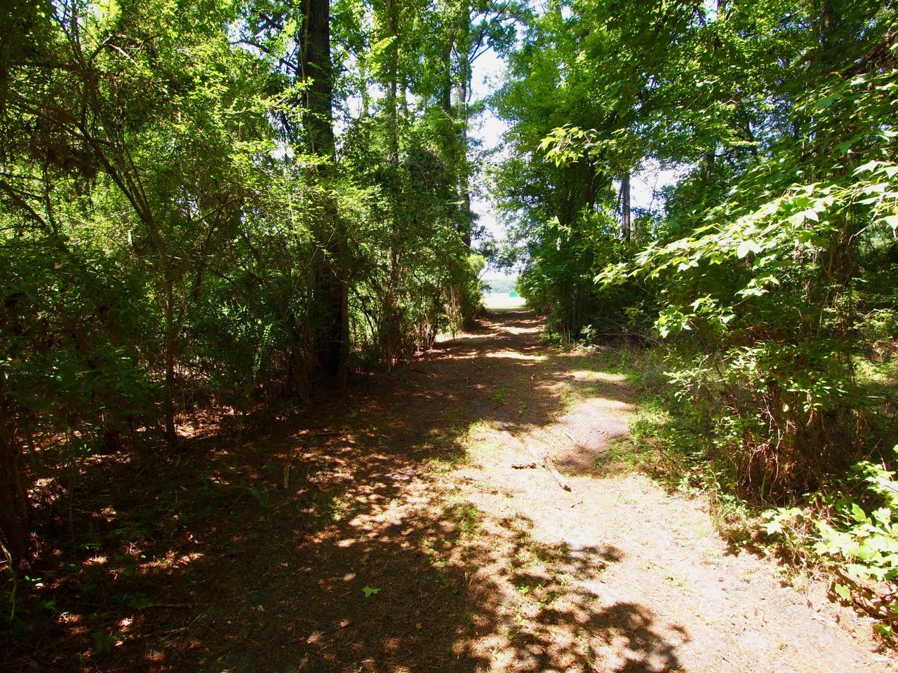 2688 Bohicket Road Johns Island, SC 29455 - Photo 9 of 15 P1011512
