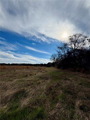 0 Benton Adkins Road Coushatta, LA 71019 - Photo 4 of 5