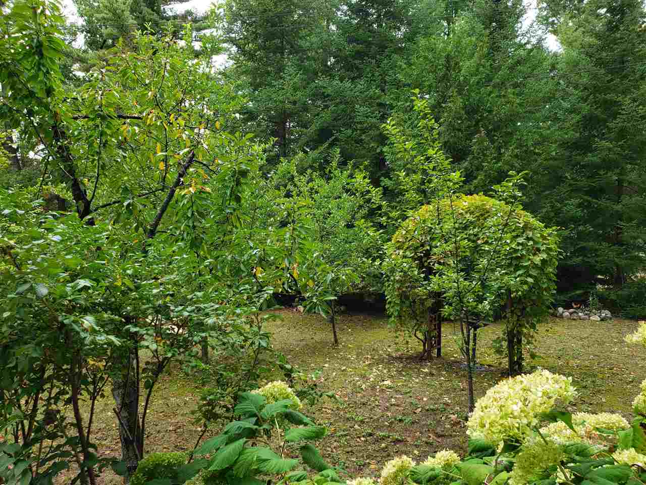 4120 Oak Hill Road Harrison, MI 48625 - Photo 38 of 69