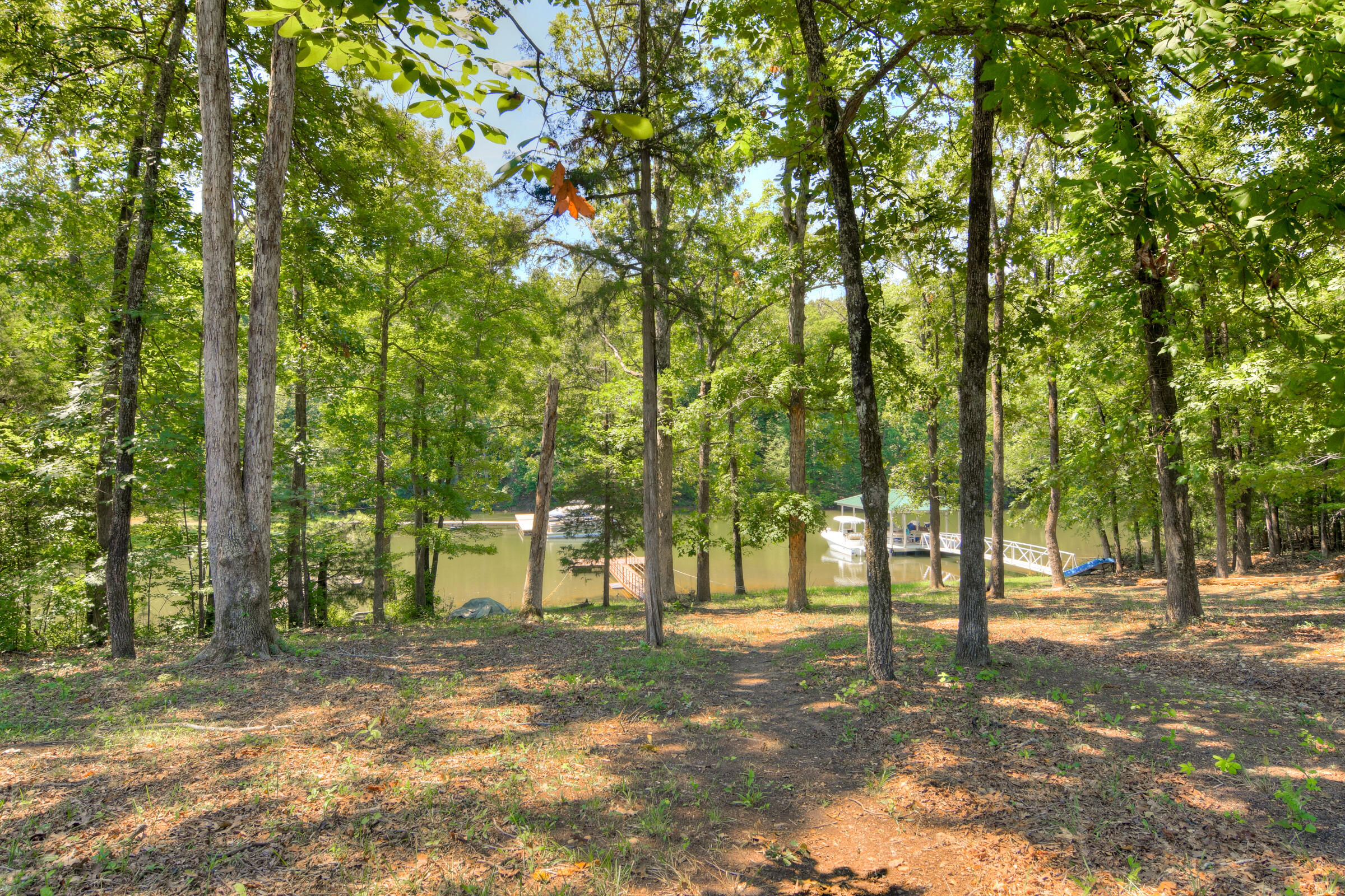 219 Jasper Road Modoc, SC 29838 - Photo 55 of 57