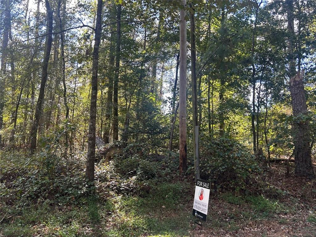 2930 Bonds Lake Road Northwest Conyers, GA 30012 - Photo 2 of 10 a flag is covered with tall trees