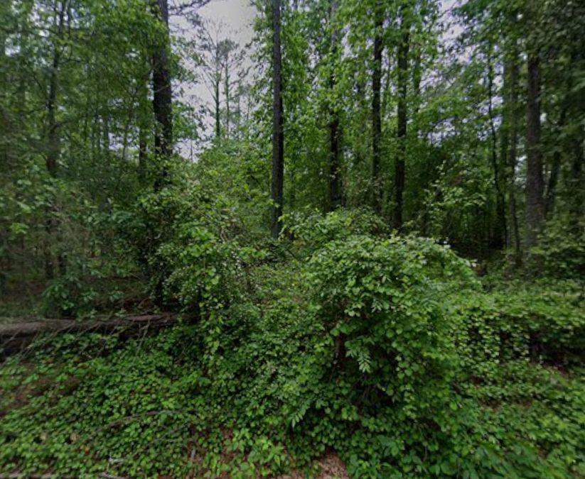 2930 Bonds Lake Road Northwest Conyers, GA 30012 - Photo 3 of 10 a view of a green field with lots of bushes
