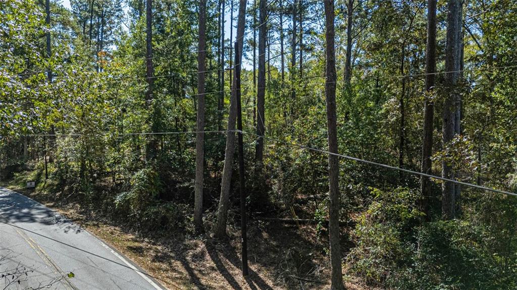 2930 Bonds Lake Road Northwest Conyers, GA 30012 - Photo 10 of 10 a view of a forest from a window