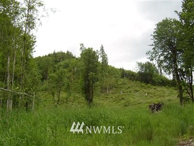 L1 Peterman Hill Road Morton, WA 98356 - Photo 1 of 1 Gallery Image 1