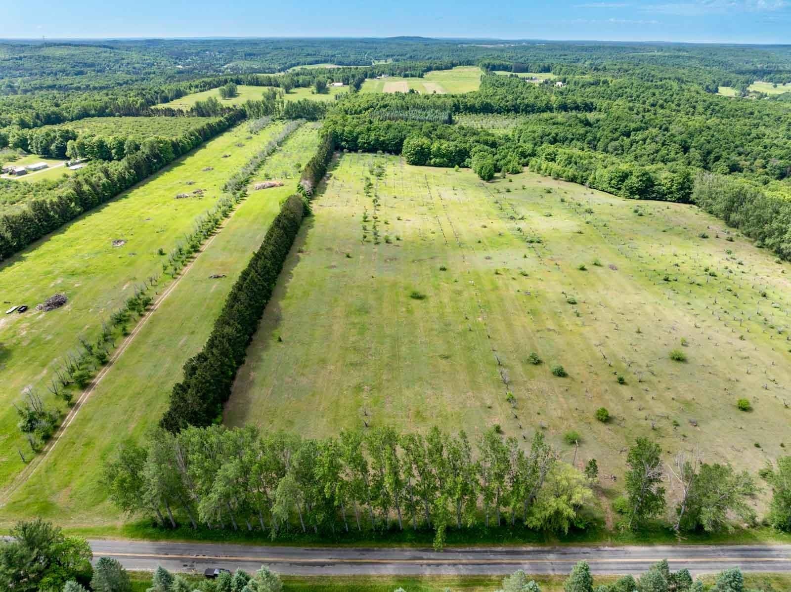 0 West Ryant Road Maple City, MI 49664 - Photo 7 of 25