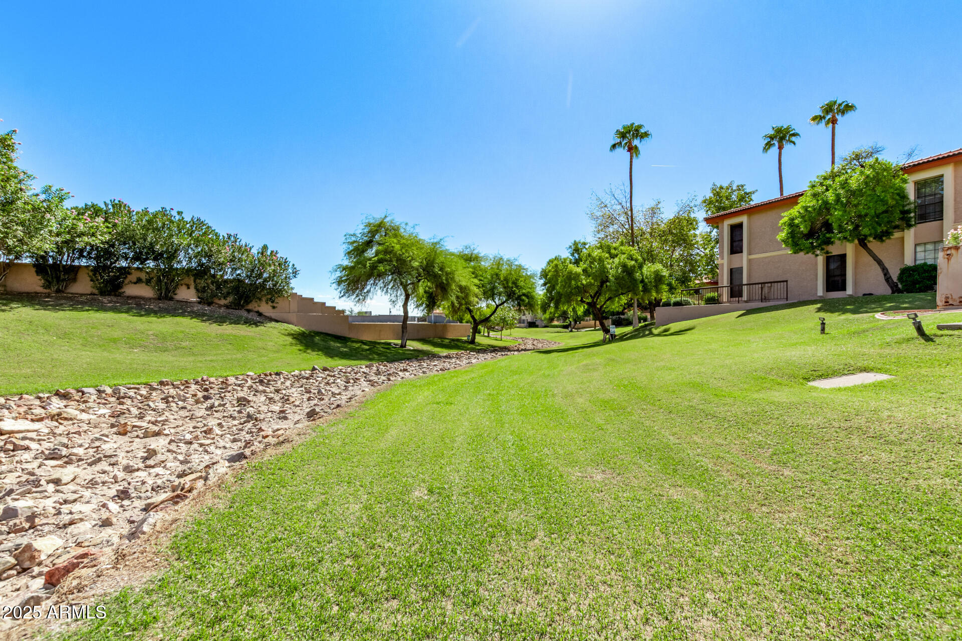10410 North Cave Creek Road, Unit 1230 Phoenix, AZ 85020 - Photo 12 of 13 a view of a garden with a building in the background