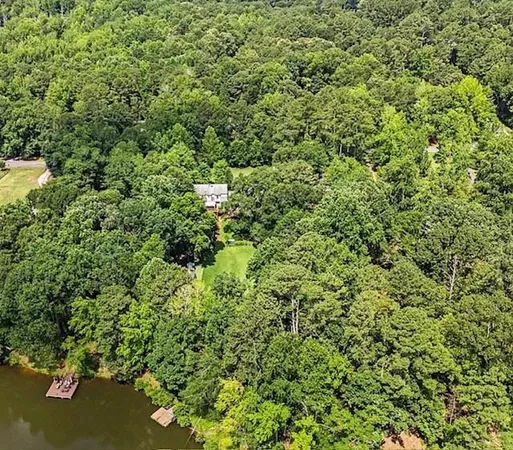 a view of a lush green forest with houses