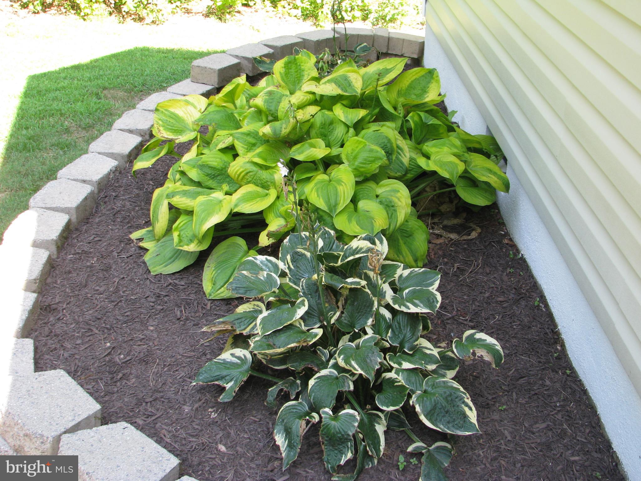 28434 Walnut Ridge Way Rhoadesville, VA 22542 - Photo 2 of 37 Neatly landscaped front garden