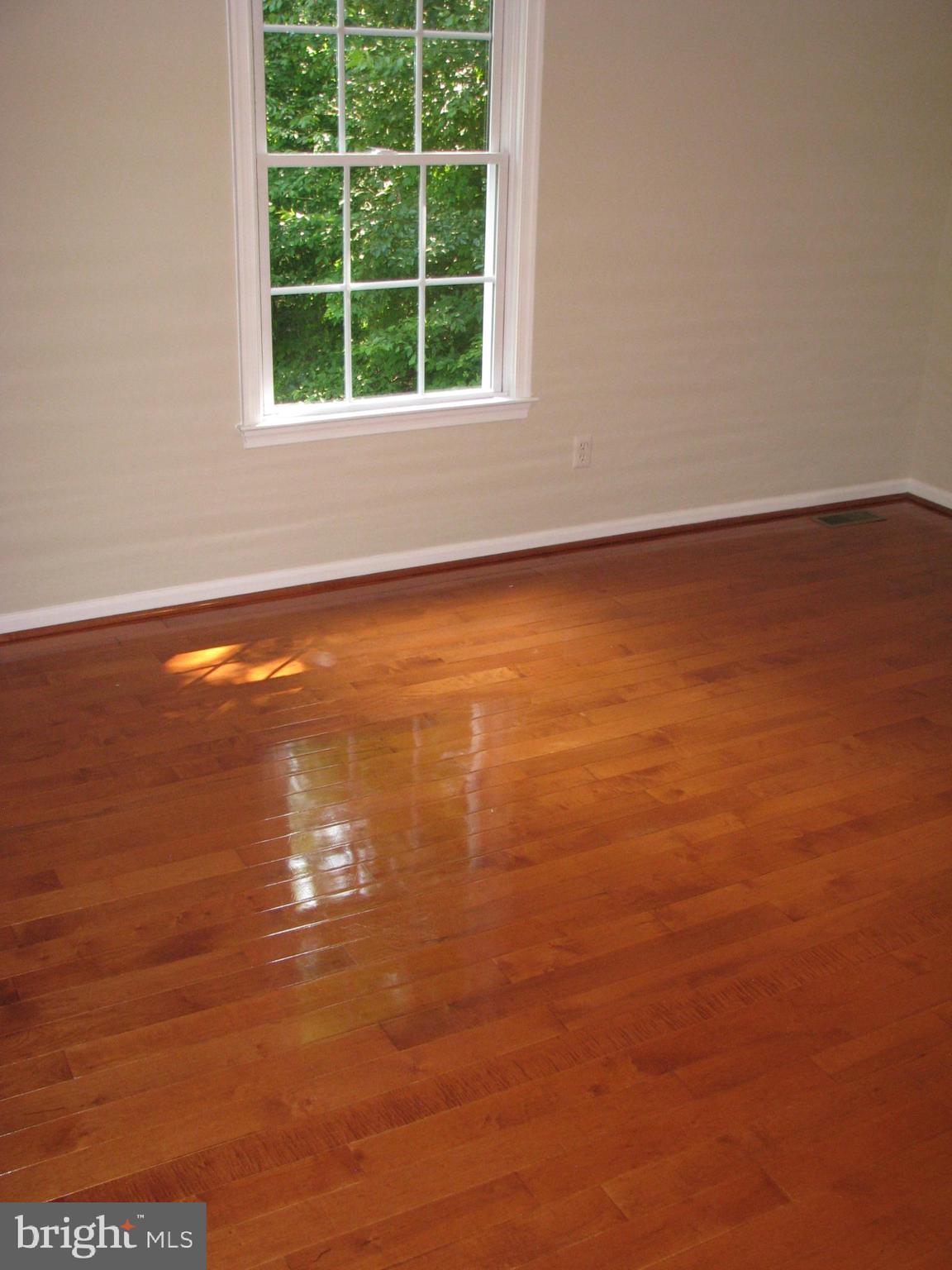 28434 Walnut Ridge Way Rhoadesville, VA 22542 - Photo 18 of 37 Hardwood in Master Bedroom