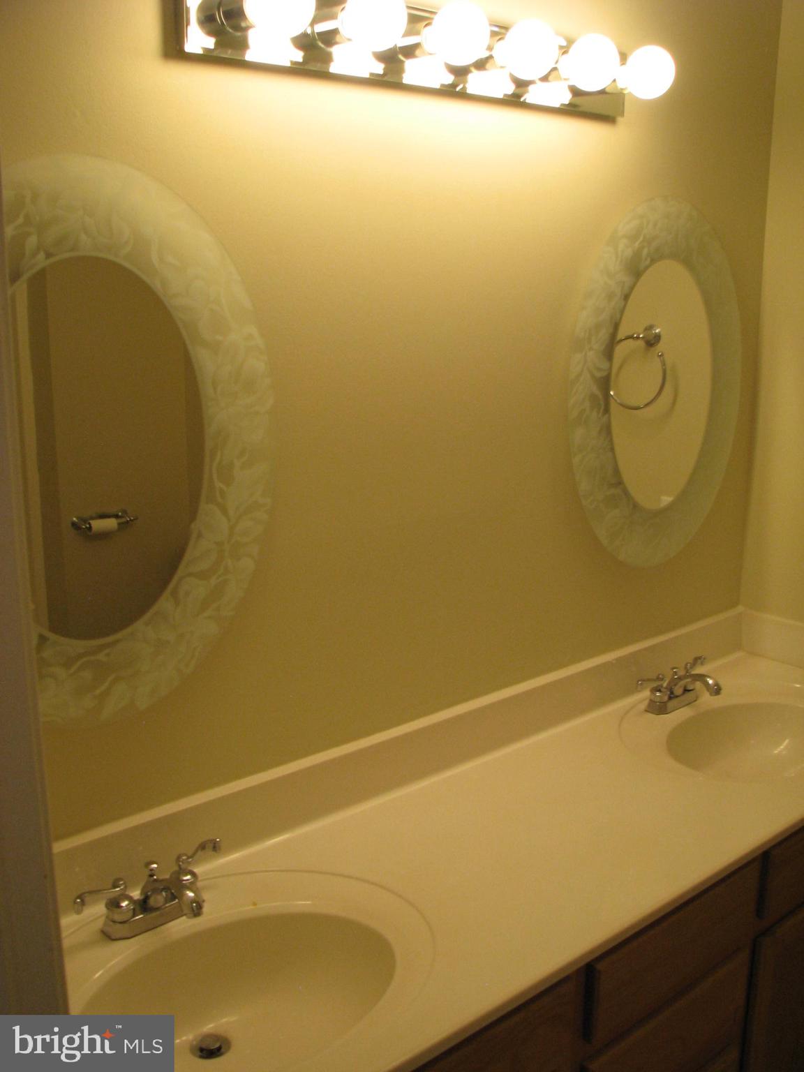 28434 Walnut Ridge Way Rhoadesville, VA 22542 - Photo 19 of 37 Double mirrors in master bath