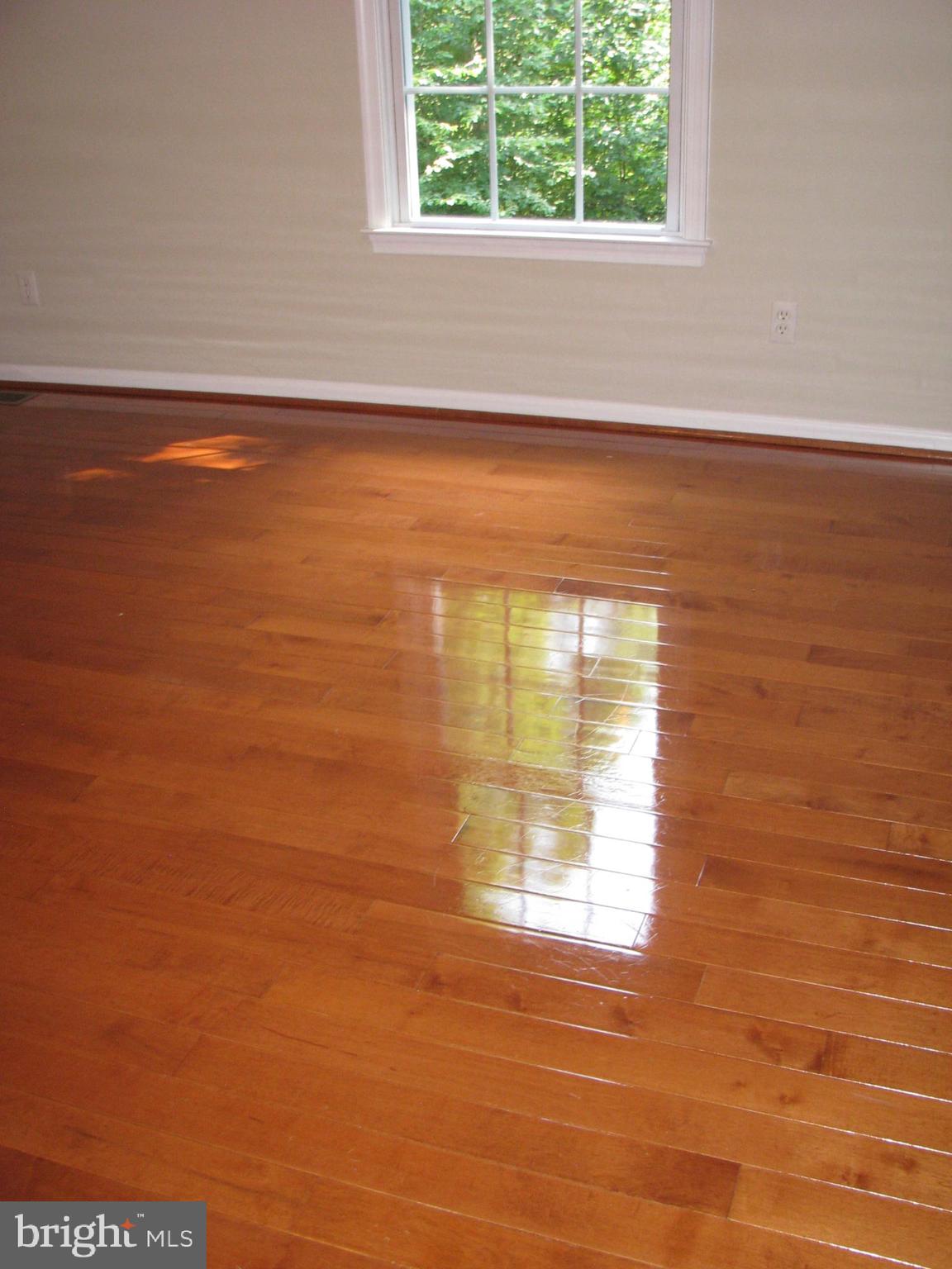 28434 Walnut Ridge Way Rhoadesville, VA 22542 - Photo 21 of 37 Can the floor shine any more???!
