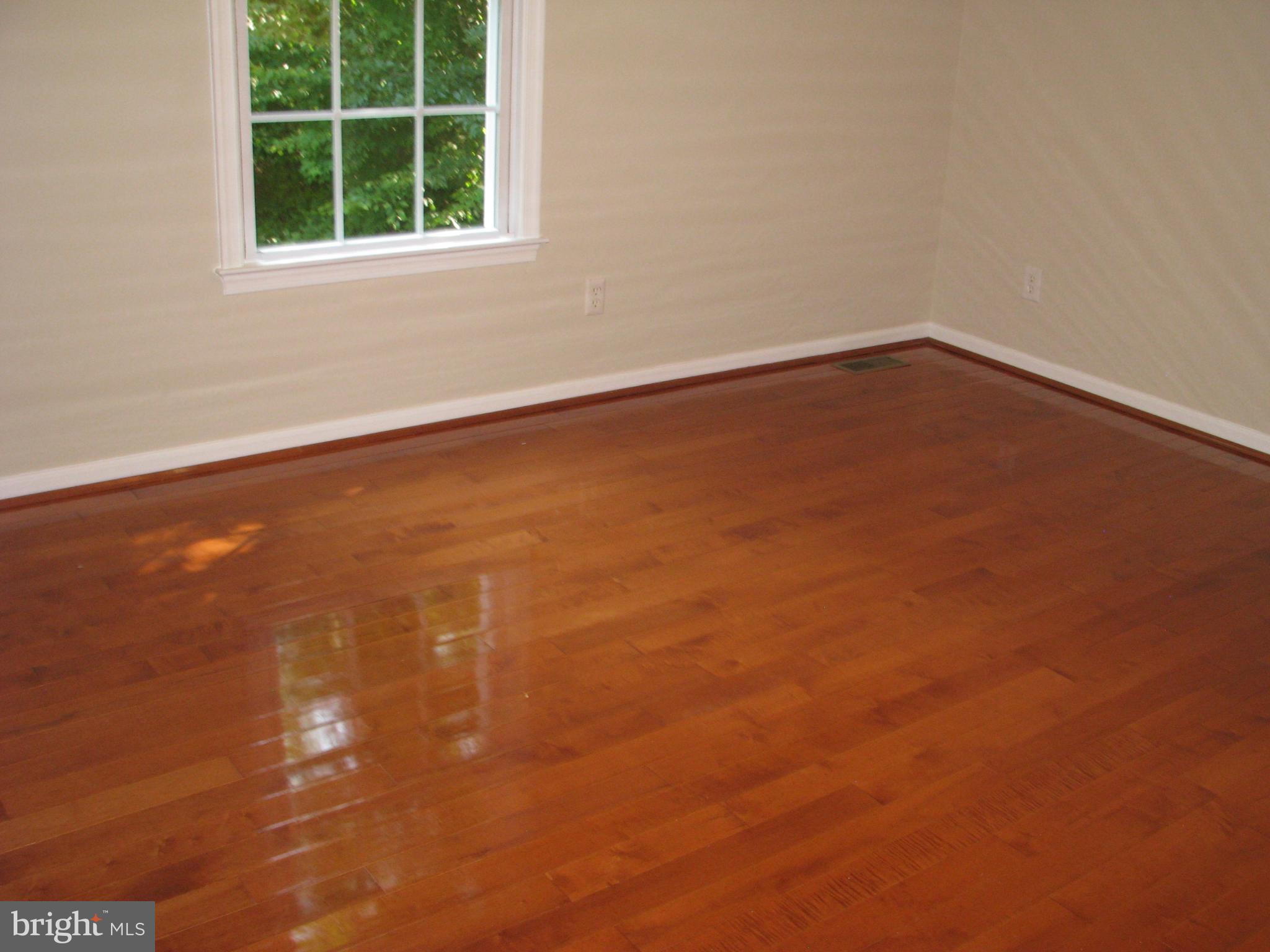 28434 Walnut Ridge Way Rhoadesville, VA 22542 - Photo 30 of 37 GLISTENING Hardwood floors in the master
