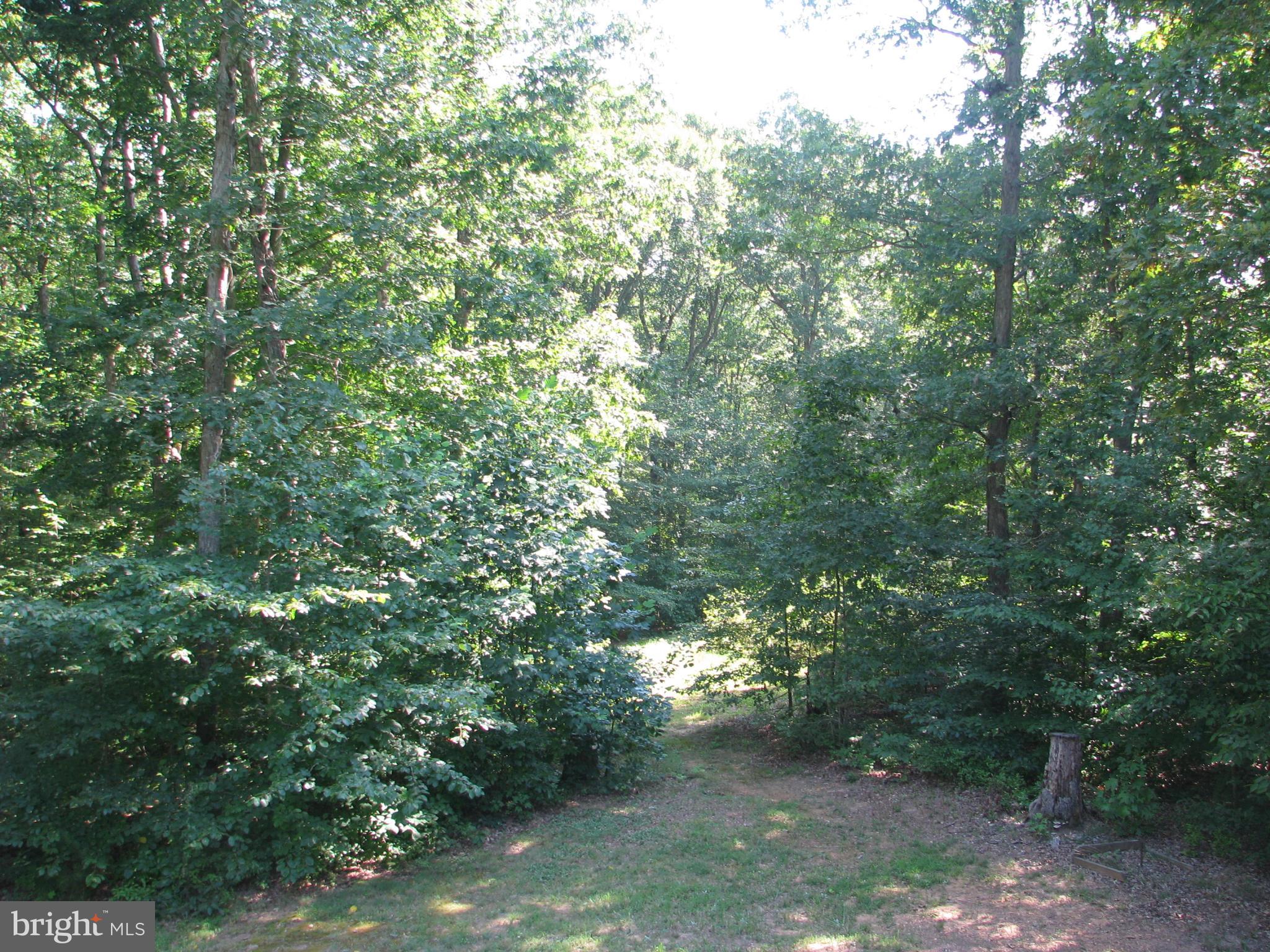 28434 Walnut Ridge Way Rhoadesville, VA 22542 - Photo 31 of 37 GREAT VIEWS off private rear deck