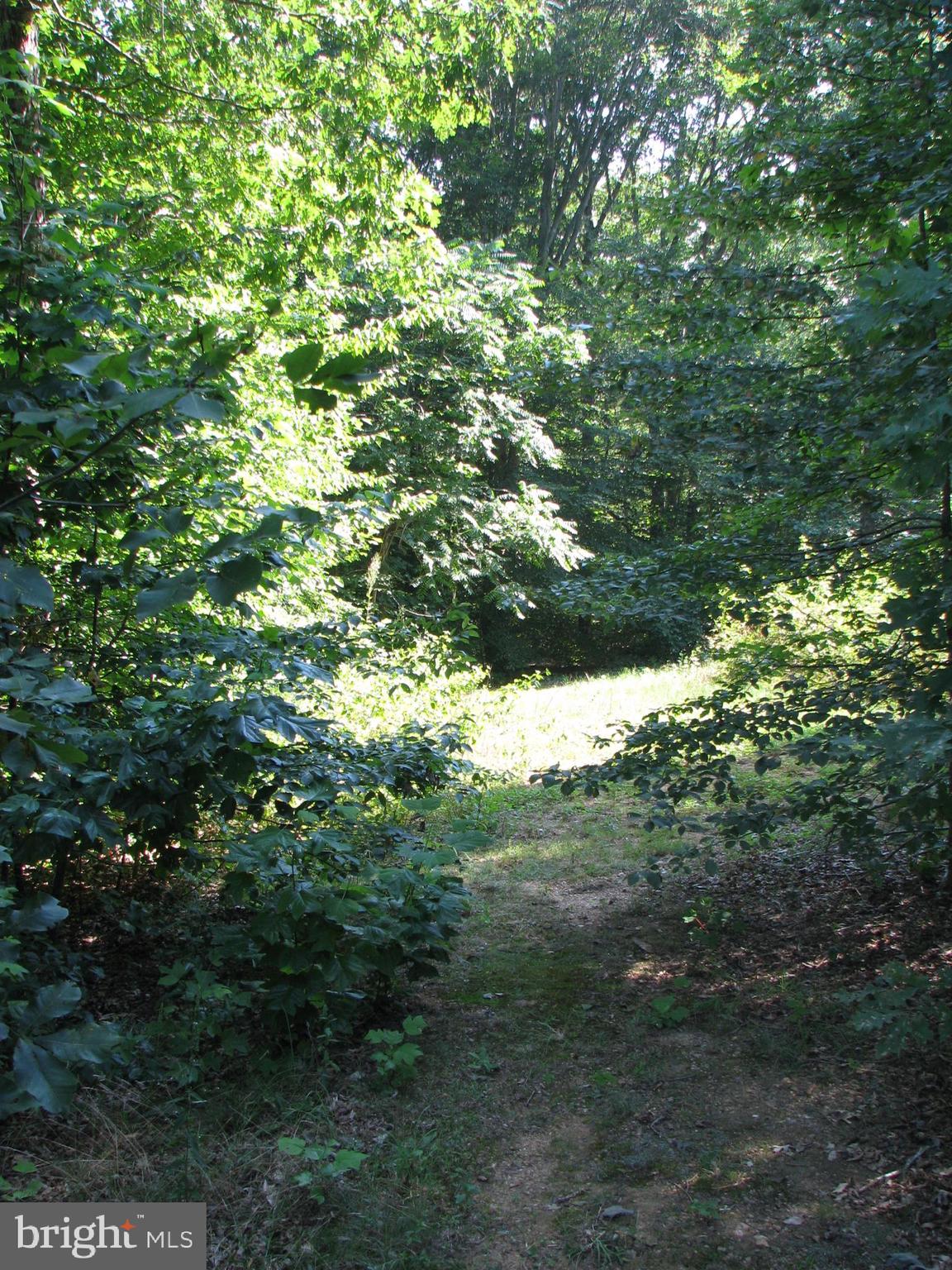 28434 Walnut Ridge Way Rhoadesville, VA 22542 - Photo 33 of 37 View from deck into trees in back yard