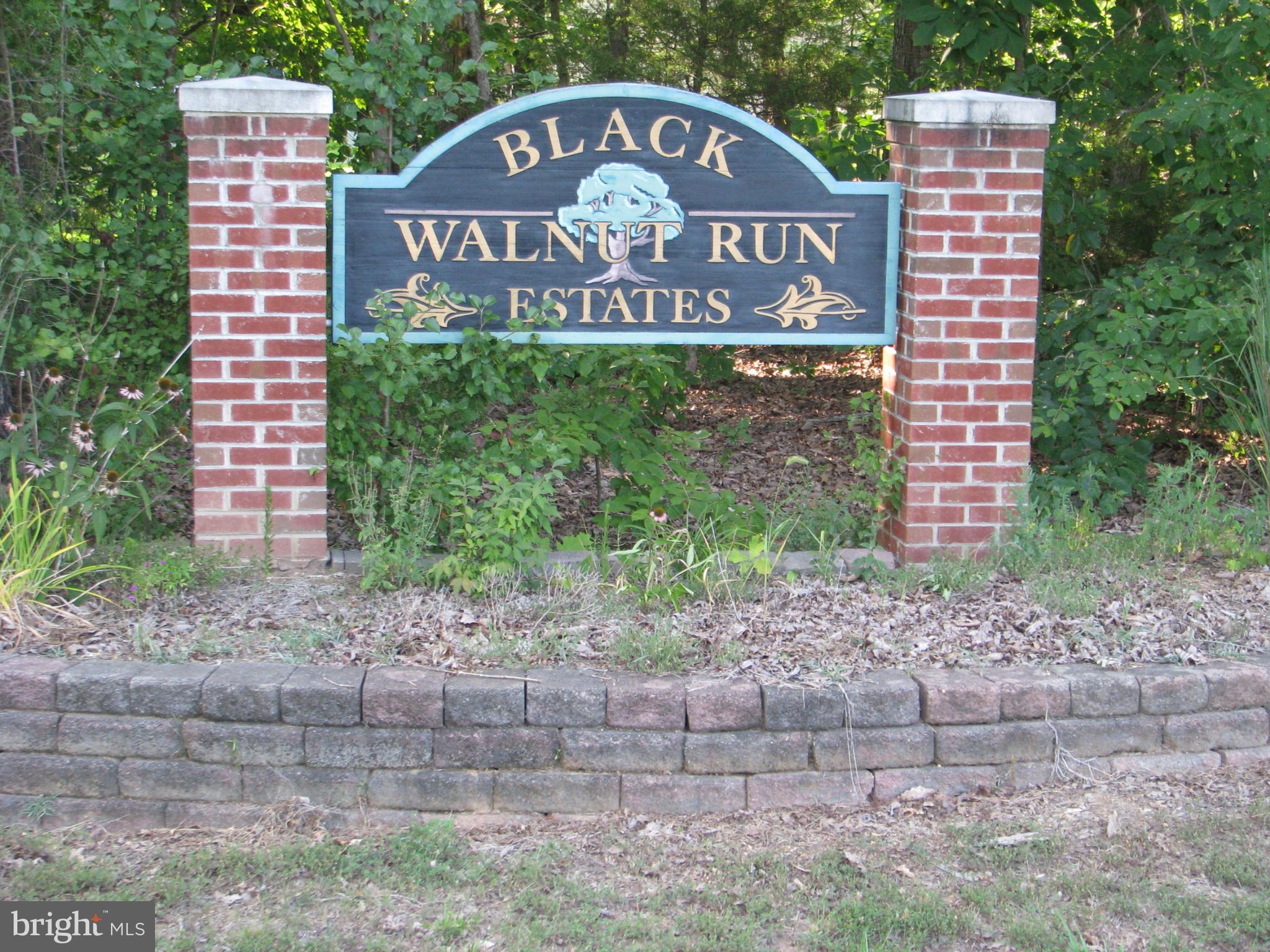 28434 Walnut Ridge Way Rhoadesville, VA 22542 - Photo 36 of 37 Combo of neighborhood security & acreage privacy!