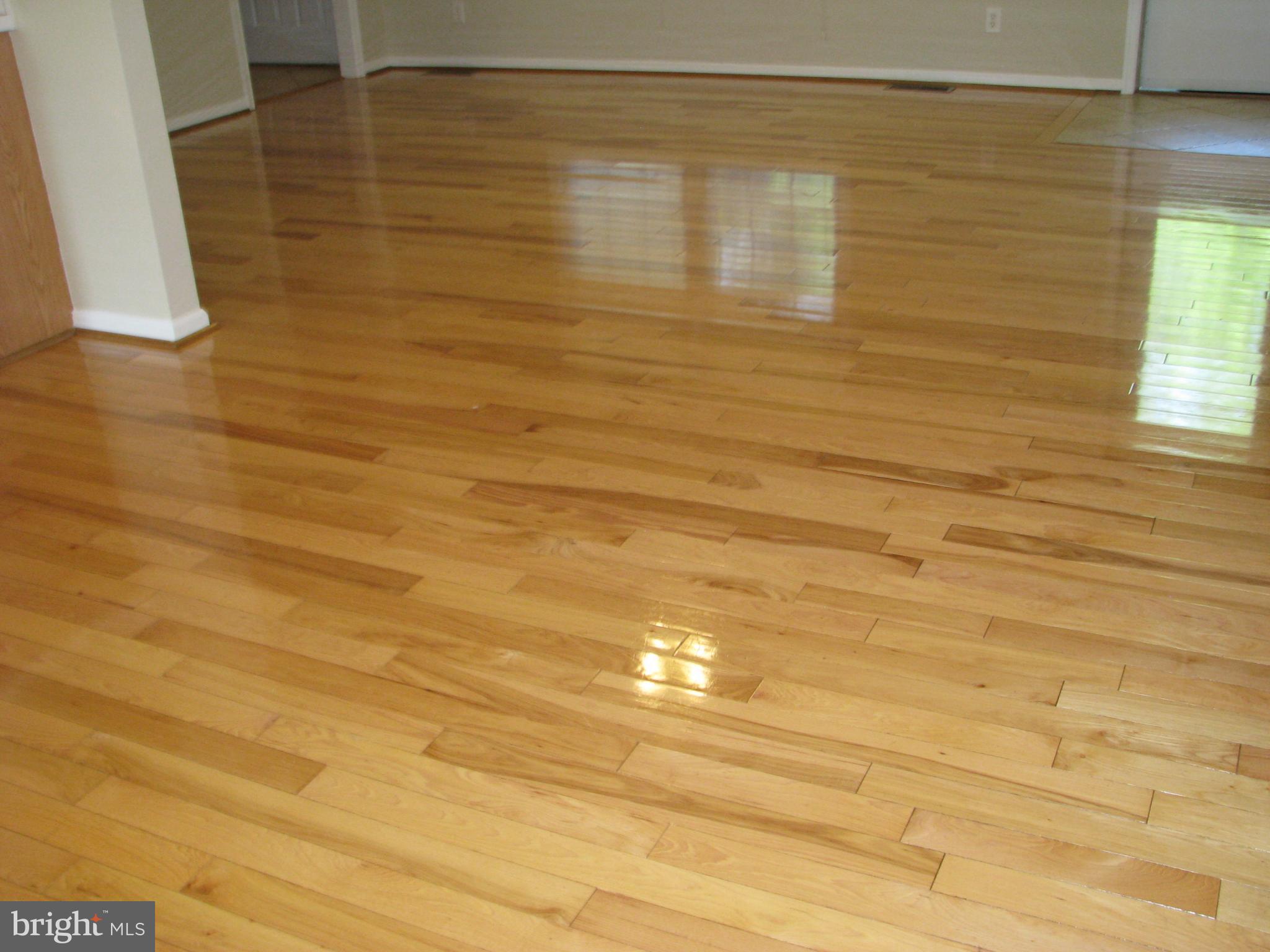 28434 Walnut Ridge Way Rhoadesville, VA 22542 - Photo 9 of 37 SHINING HARDWOODS in living & Dining area