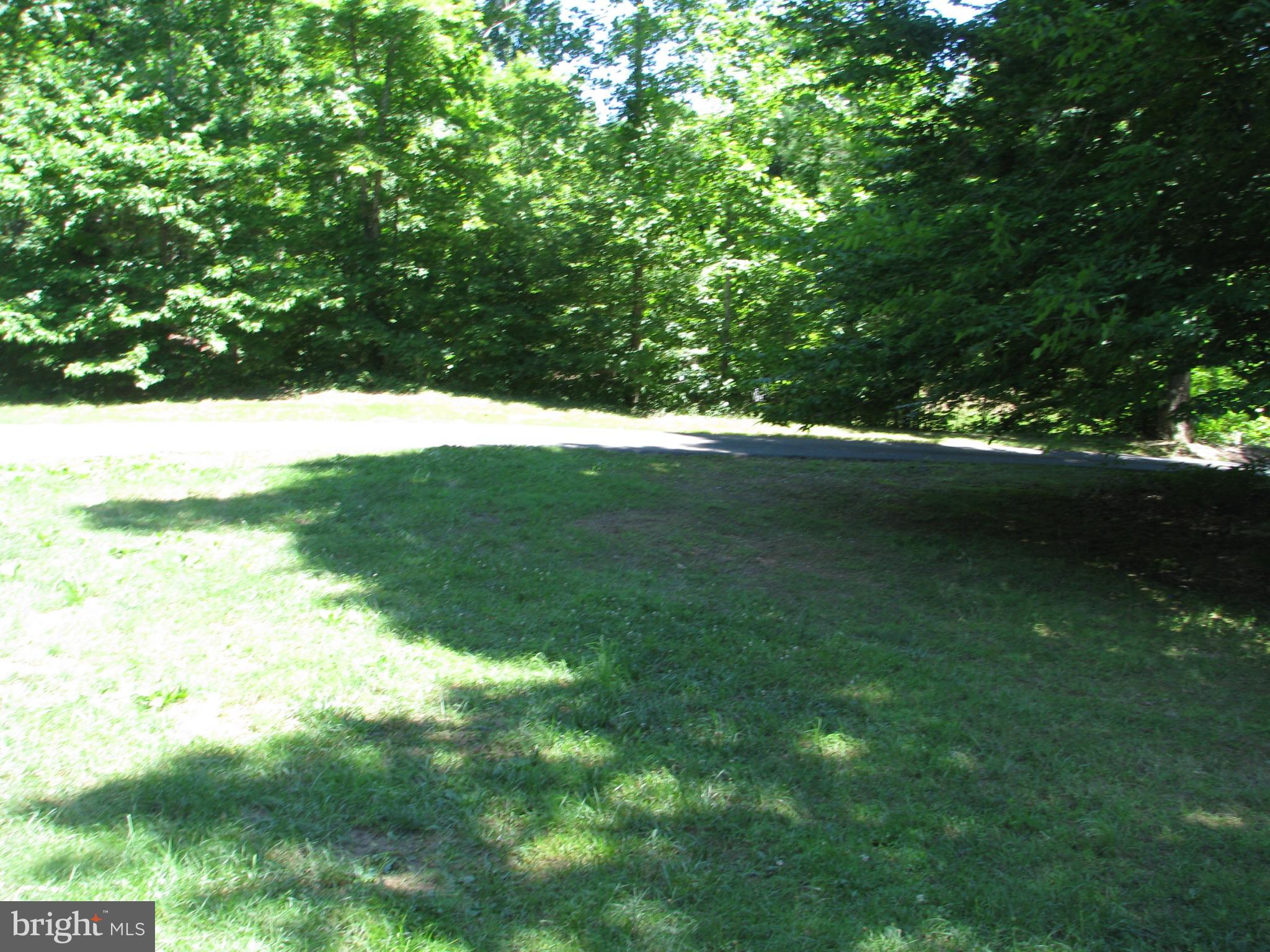 28434 Walnut Ridge Way Rhoadesville, VA 22542 - Photo 10 of 37 View of almost 3 acre lot!