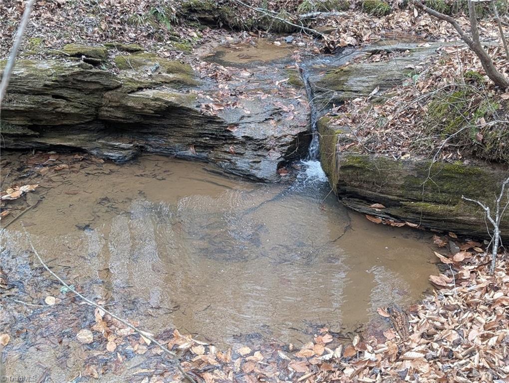 1565 Old Rockford Road Dobson, NC 27017 - Photo 34 of 50 Meet me at the swimming hole!
