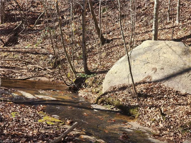 $650,000 | 1565 Old Rockford Road, Dobson, NC 27017