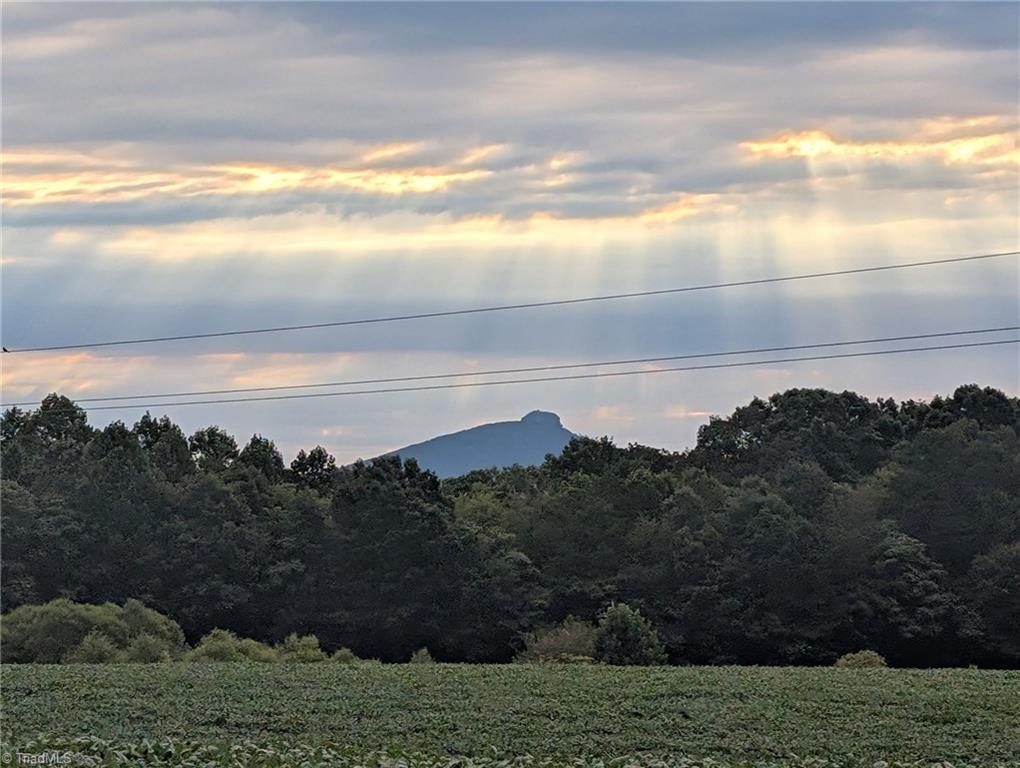 1565 Old Rockford Road Dobson, NC 27017 - Photo 39 of 50 Pilot Mountain views