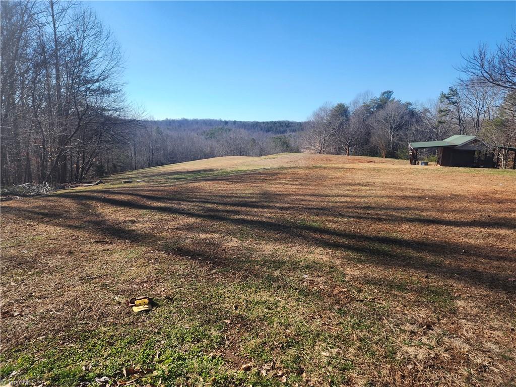 1565 Old Rockford Road Dobson, NC 27017 - Photo 41 of 50 more pastrure