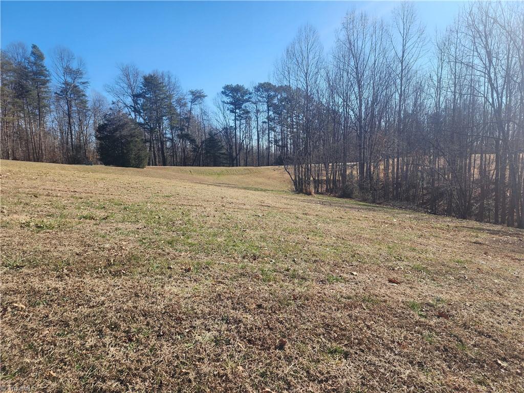 1565 Old Rockford Road Dobson, NC 27017 - Photo 43 of 48 More pasture